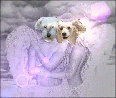 Image h�berg�e par Casimages.com : votre h�bergeur d images simple et gratuit