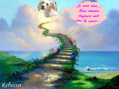 Image h�berg�e par Casimages.com : votre h�bergeur d images simple et gratuit