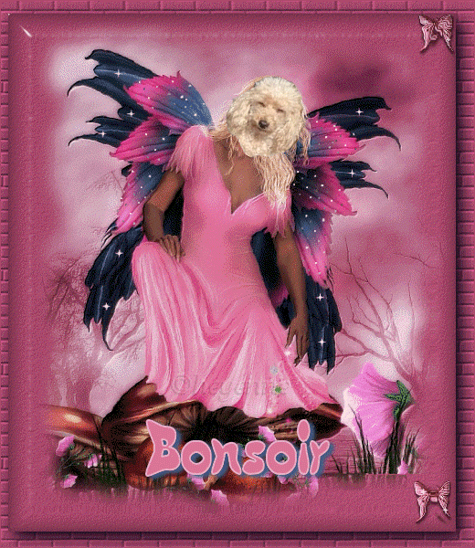 Image h�berg�e par Casimages.com : votre h�bergeur d images simple et gratuit