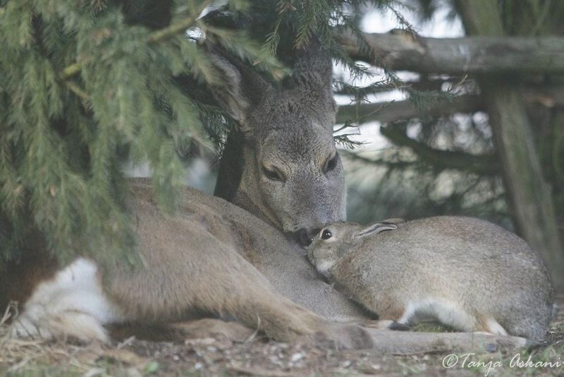 Image hébergée par Casimages.com : votre hébergeur d images simple et gratuit