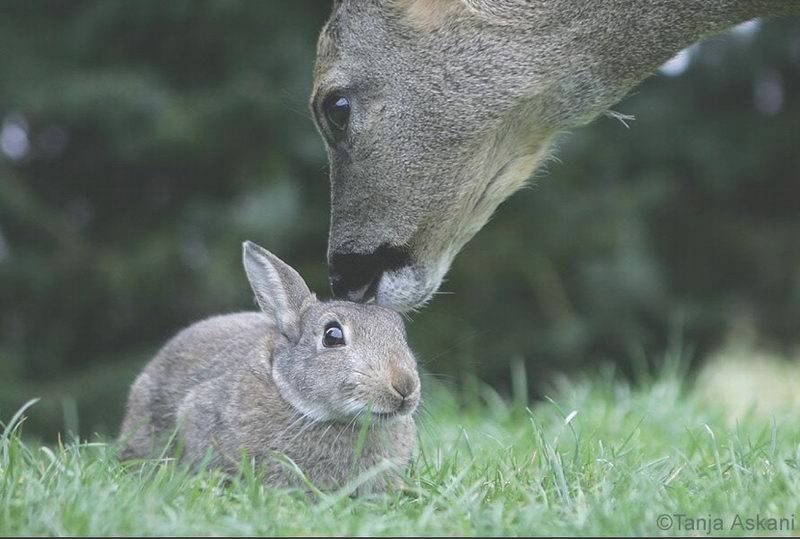Image hébergée par Casimages.com : votre hébergeur d images simple et gratuit