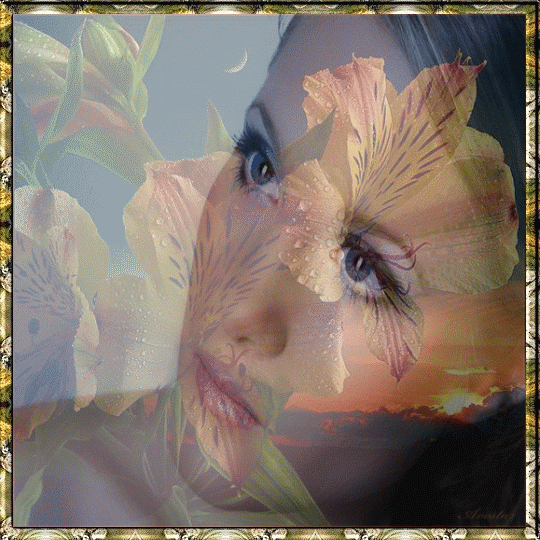 Image hébergée par Casimages.com : votre hébergeur d images simple et gratuit