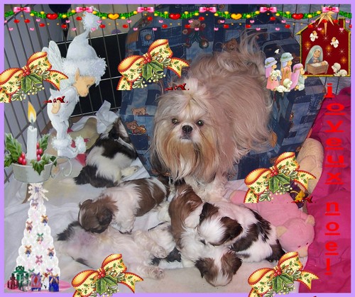 Image h�berg�e par Casimages.com : votre h�bergeur d images simple et gratuit