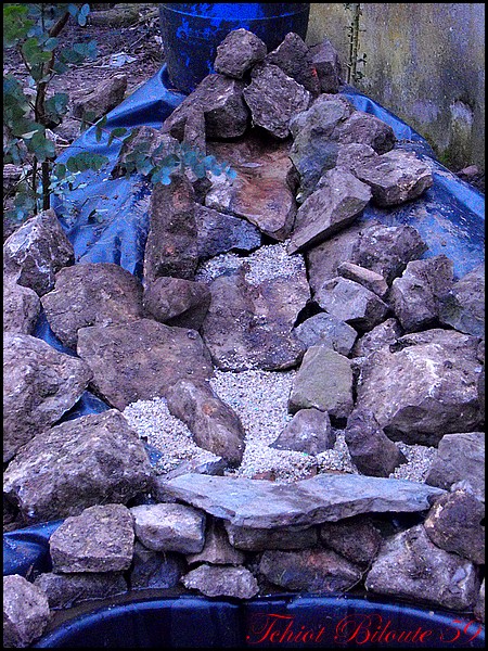 Image hébergée par Casimages.com : votre hébergeur d images simple et gratuit