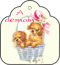 Image hébergée par Casimages.com : votre hébergeur d images simple et gratuit