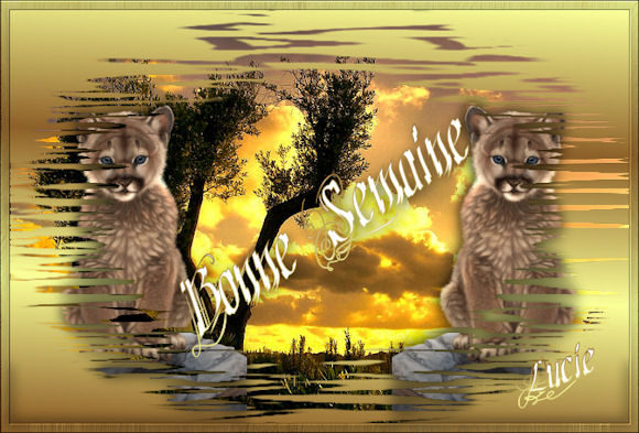 Image hébergée par Casimages.com : votre hébergeur d images simple et gratuit