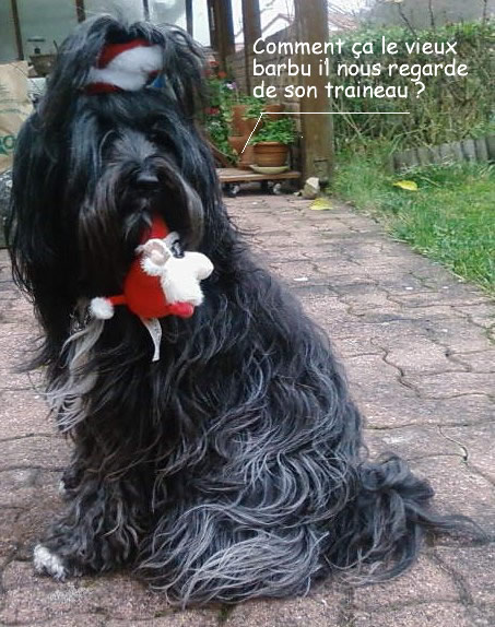 Image h�berg�e par Casimages.com : votre h�bergeur d images simple et gratuit