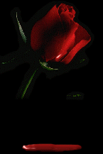 Image hébergée par Casimages.com : votre hébergeur d images simple et gratuit