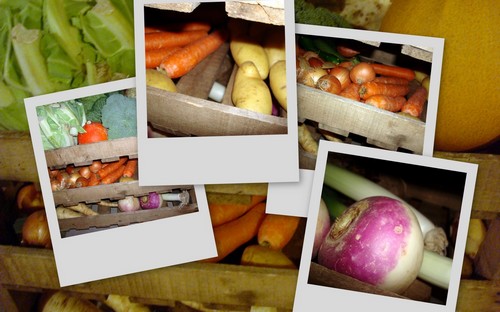 Image hébergée par Casimages.com : votre hébergeur d images simple et gratuit