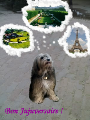 Image h�berg�e par Casimages.com : votre h�bergeur d images simple et gratuit