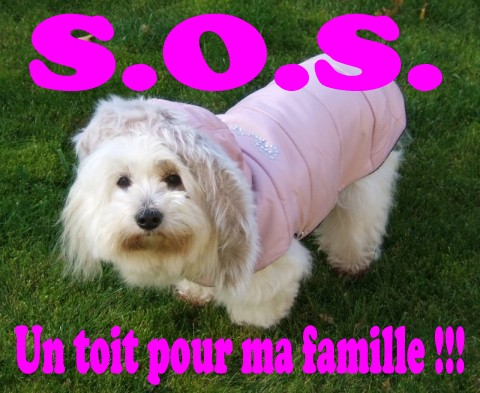Image h�berg�e par Casimages.com : votre h�bergeur d images simple et gratuit