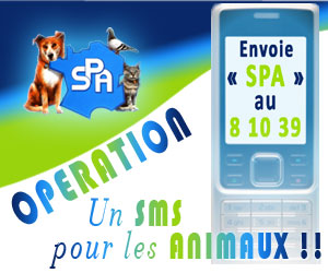 Image h�berg�e par Casimages.com : votre h�bergeur d images simple et gratuit