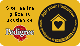 Image h�berg�e par Casimages.com : votre h�bergeur d images simple et gratuit