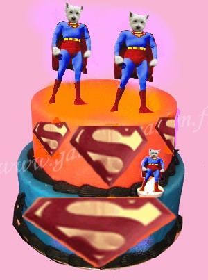 Image h�berg�e par Casimages.com : votre h�bergeur d images simple et gratuit