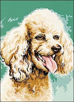Image h�berg�e par Casimages.com : votre h�bergeur d images simple et gratuit