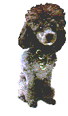 Image h�berg�e par Casimages.com : votre h�bergeur d images simple et gratuit