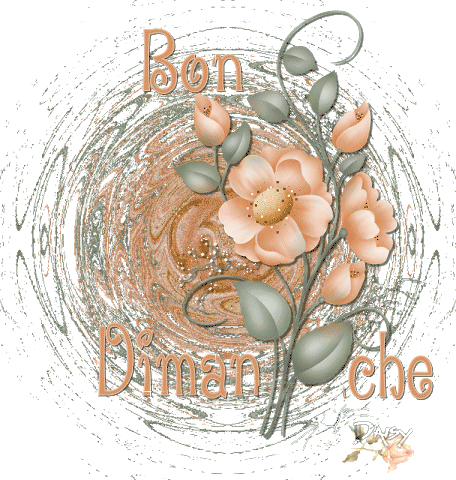 Image hébergée par Casimages.com : votre hébergeur d images simple et gratuit