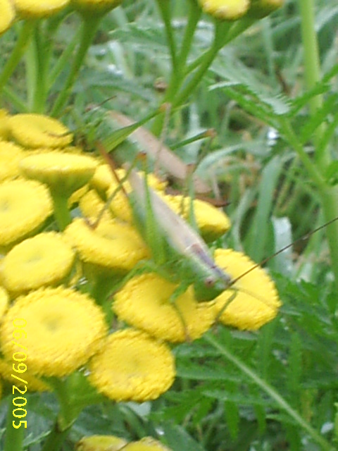 Image hébergée par Casimages.com : votre hébergeur d images simple et gratuit