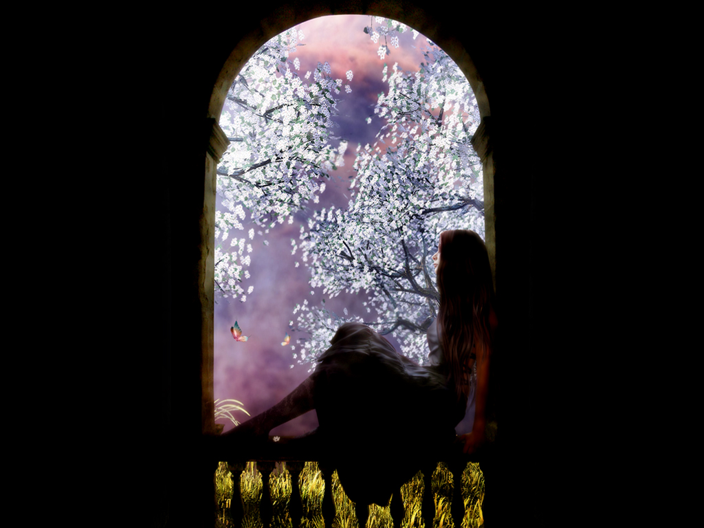 Image hébergée par Casimages.com : votre hébergeur d images simple et gratuit