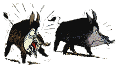 Image hébergée par Casimages.com : votre hébergeur d images simple et gratuit