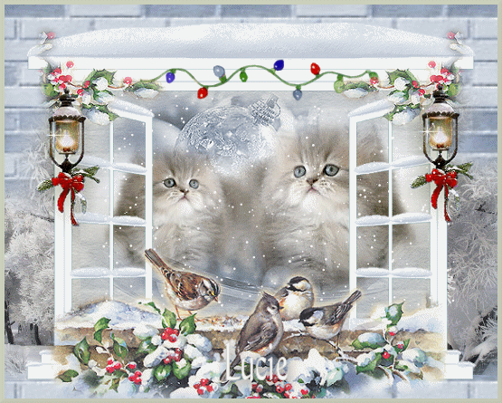 Image hébergée par Casimages.com : votre hébergeur d images simple et gratuit
