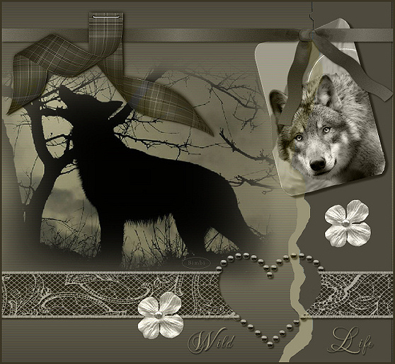 Image hébergée par Casimages.com : votre hébergeur d images simple et gratuit