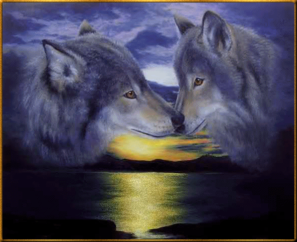 Image hébergée par Casimages.com : votre hébergeur d images simple et gratuit