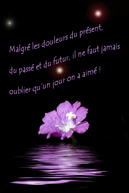 Image hébergée par Casimages.com : votre hébergeur d images simple et gratuit