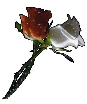 Image hébergée par Casimages.com : votre hébergeur d images simple et gratuit