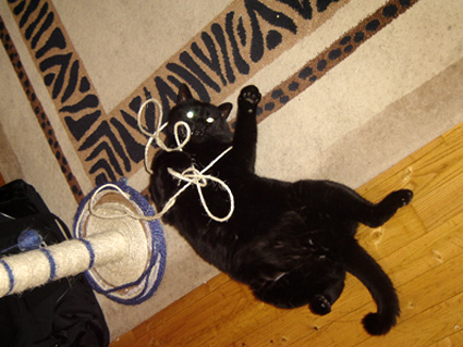 Image hébergée par Casimages.com : votre hébergeur d images simple et gratuit