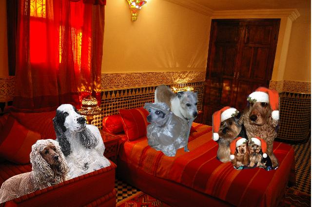 Image h�berg�e par Casimages.com : votre h�bergeur d images simple et gratuit