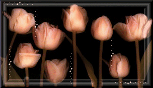Image hébergée par Casimages.com : votre hébergeur d images simple et gratuit