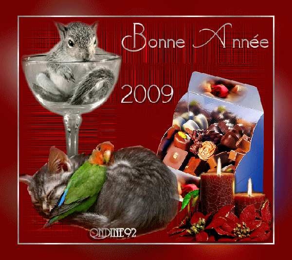 Image hébergée par Casimages.com : votre hébergeur d images simple et gratuit