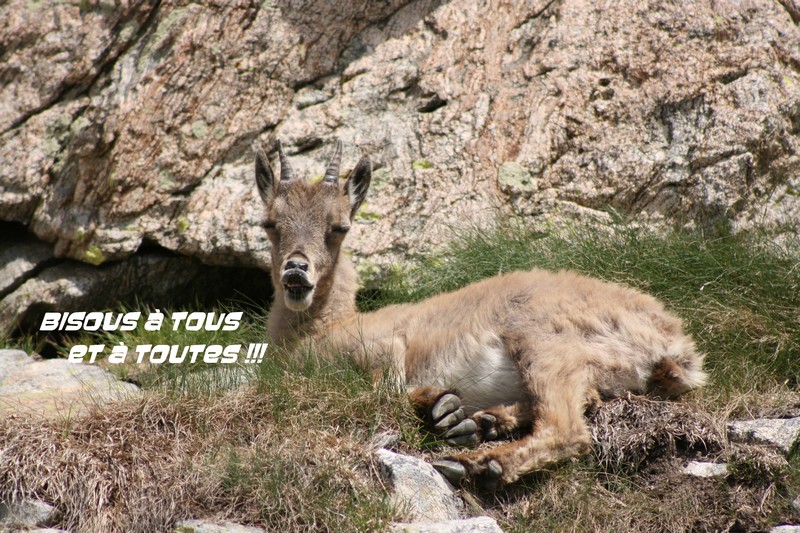 Image hébergée par Casimages.com : votre hébergeur d images simple et gratuit