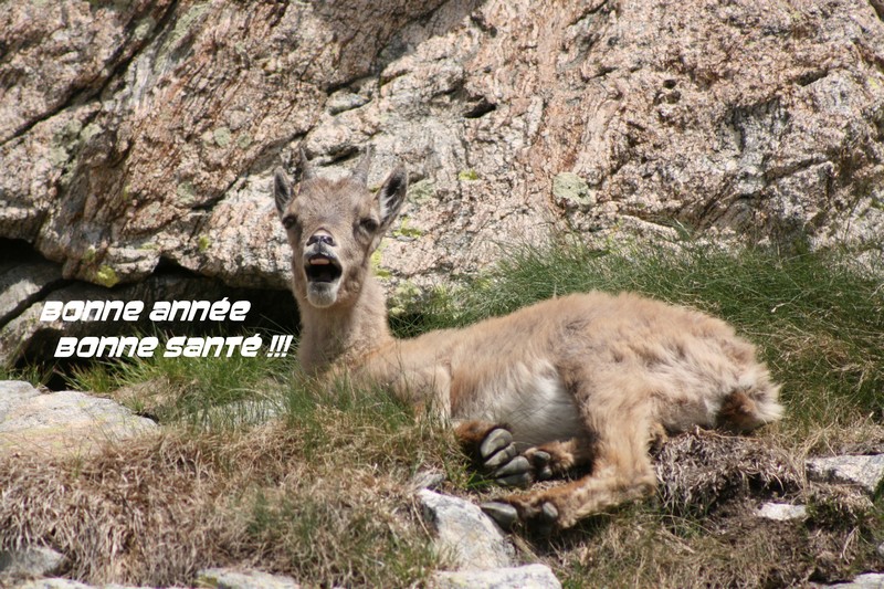 Image hébergée par Casimages.com : votre hébergeur d images simple et gratuit