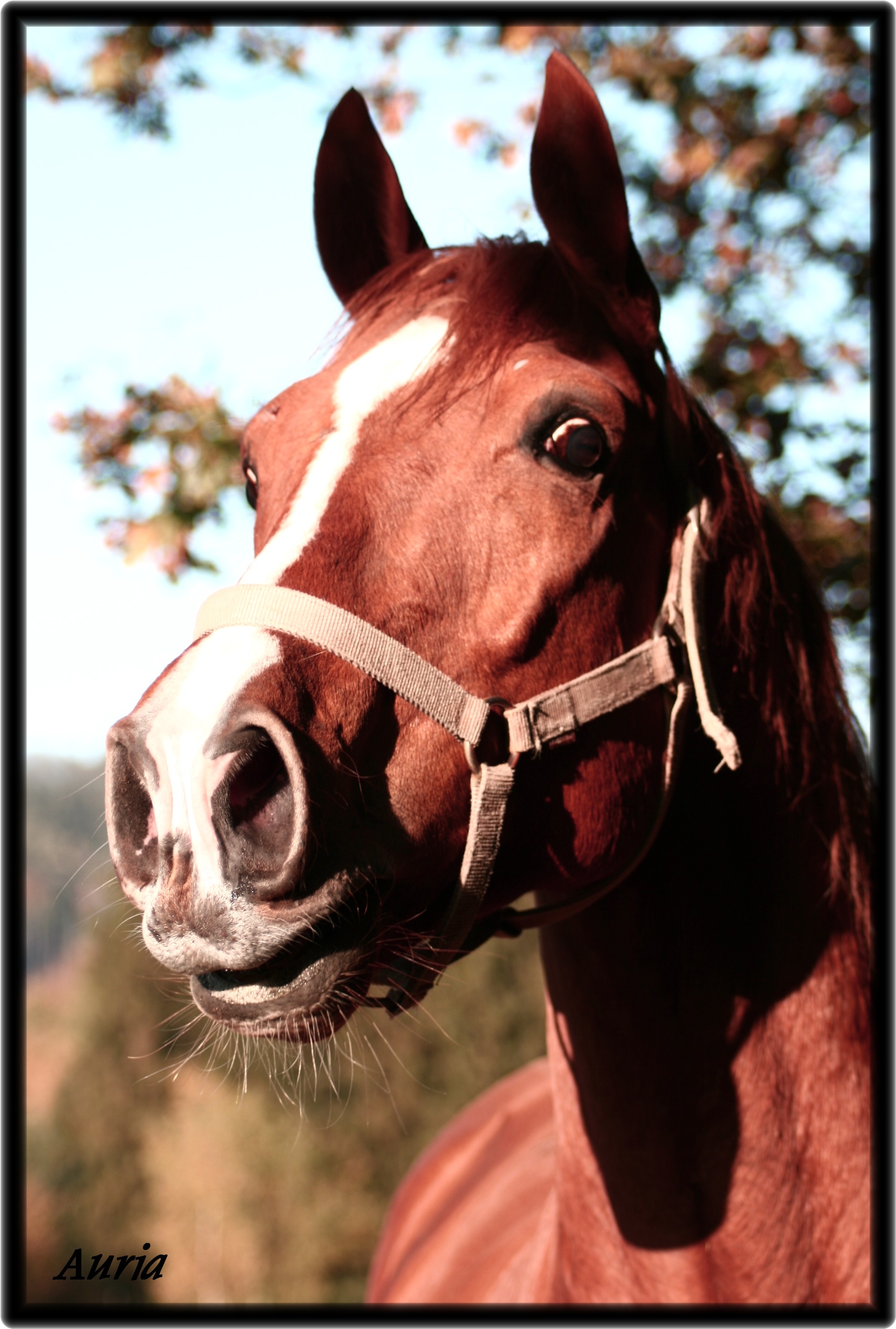 Image hébergée par Casimages.com : votre hébergeur d images simple et gratuit