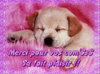Image h�berg�e par Casimages.com : votre h�bergeur d images simple et gratuit