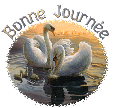 Image hébergée par Casimages.com : votre hébergeur d images simple et gratuit