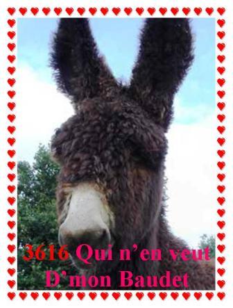  votre hébergeur d images simple et gratuit