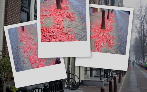 Image hébergée par Casimages.com : votre hébergeur d images simple et gratuit