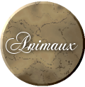 Animaux