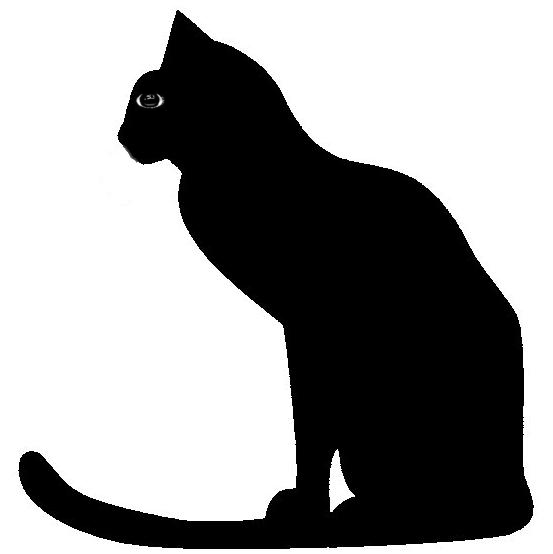 Image hébergée par Casimages.com : votre hébergeur d images simple et gratuit