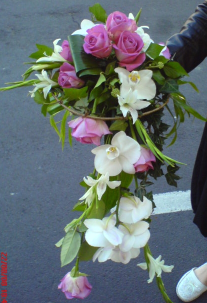 Image h�berg�e par Casimages.com : votre h�bergeur d images simple et gratuit