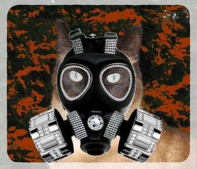 Image hébergée par Casimages.com : votre hébergeur d images simple et gratuit