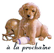 Image h�berg�e par Casimages.com : votre h�bergeur d images simple et gratuit