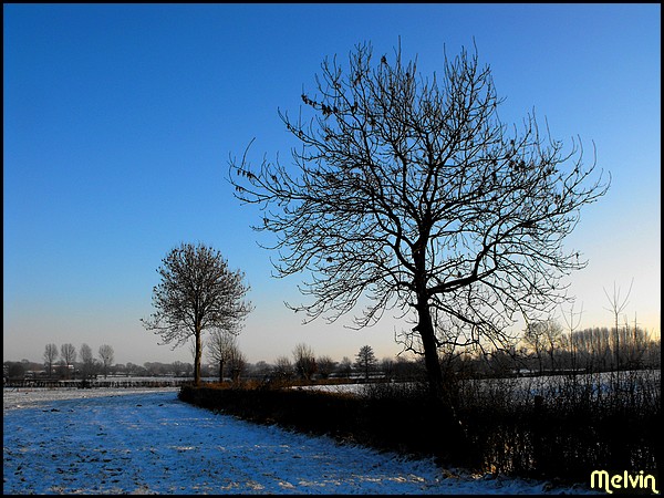 Image hébergée par Casimages.com : votre hébergeur d images simple et gratuit