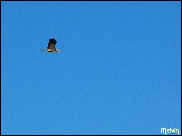 Image hébergée par Casimages.com : votre hébergeur d images simple et gratuit