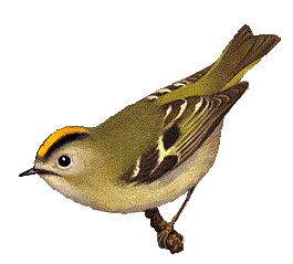 Image hébergée par Casimages.com : votre hébergeur d images simple et gratuit