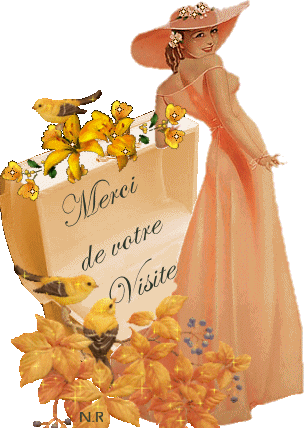 voir l'image en taille r�elle