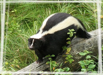 Image hébergée par Casimages.com : votre hébergeur d images simple et gratuit